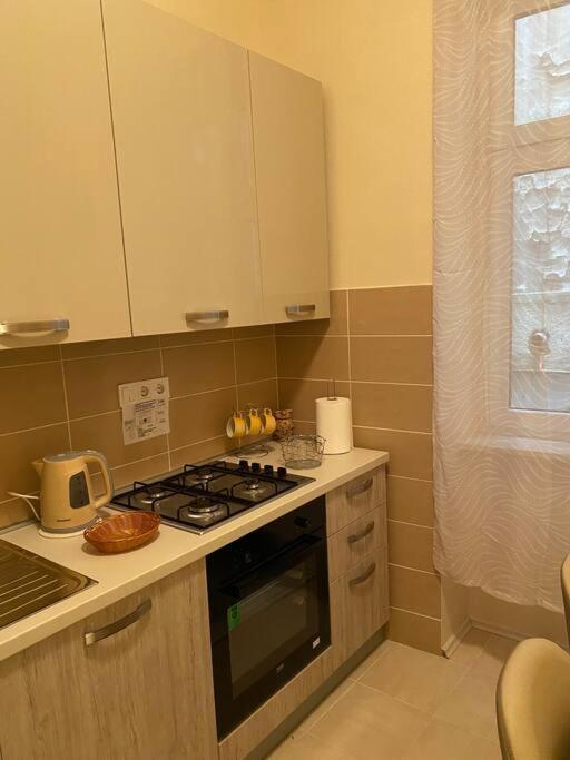 Apartman Elli Загреб Екстер'єр фото